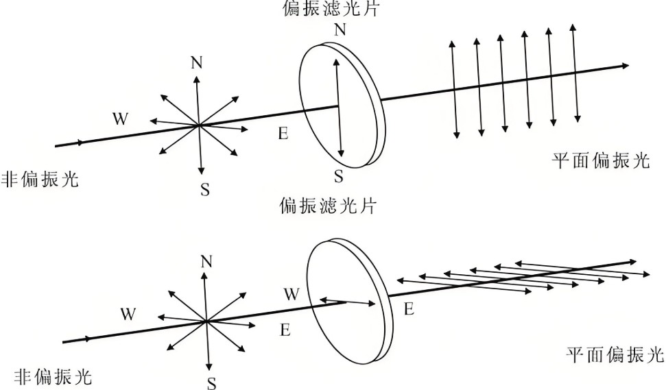 光的魔術(shù)師：偏光鏡如何塑造人類的光學世界