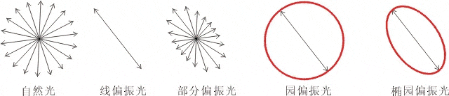 什么是偏振光？偏振光是如何完成檢測的？