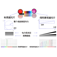 線性漸變?yōu)V光片是什么？有何特點？